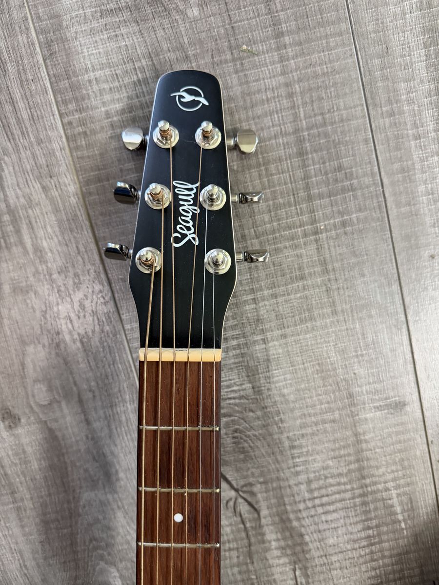 Seagull Guitar