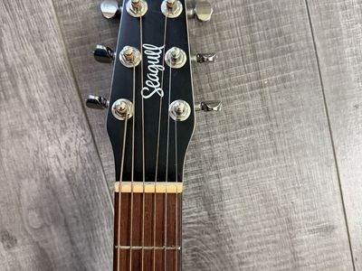 Seagull Guitar