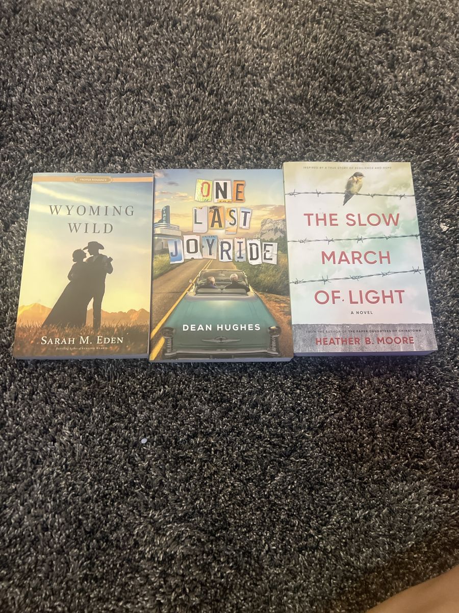 Lot of 3 Fiction Books: Wyoming Wild, One Last Joyride, The Slow March of Light $5 a book