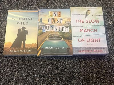 Lot of 3 Fiction Books: Wyoming Wild, One Last Joyride, The Slow March of Light $5 a book