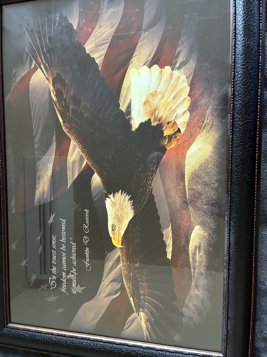 American Eagle & Flag Framed Art Print w/ FDR Quote -  Beautiful picture. $100 obo