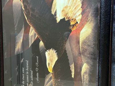 American Eagle & Flag Framed Art Print w/ FDR Quote - Beautiful picture. $100 obo