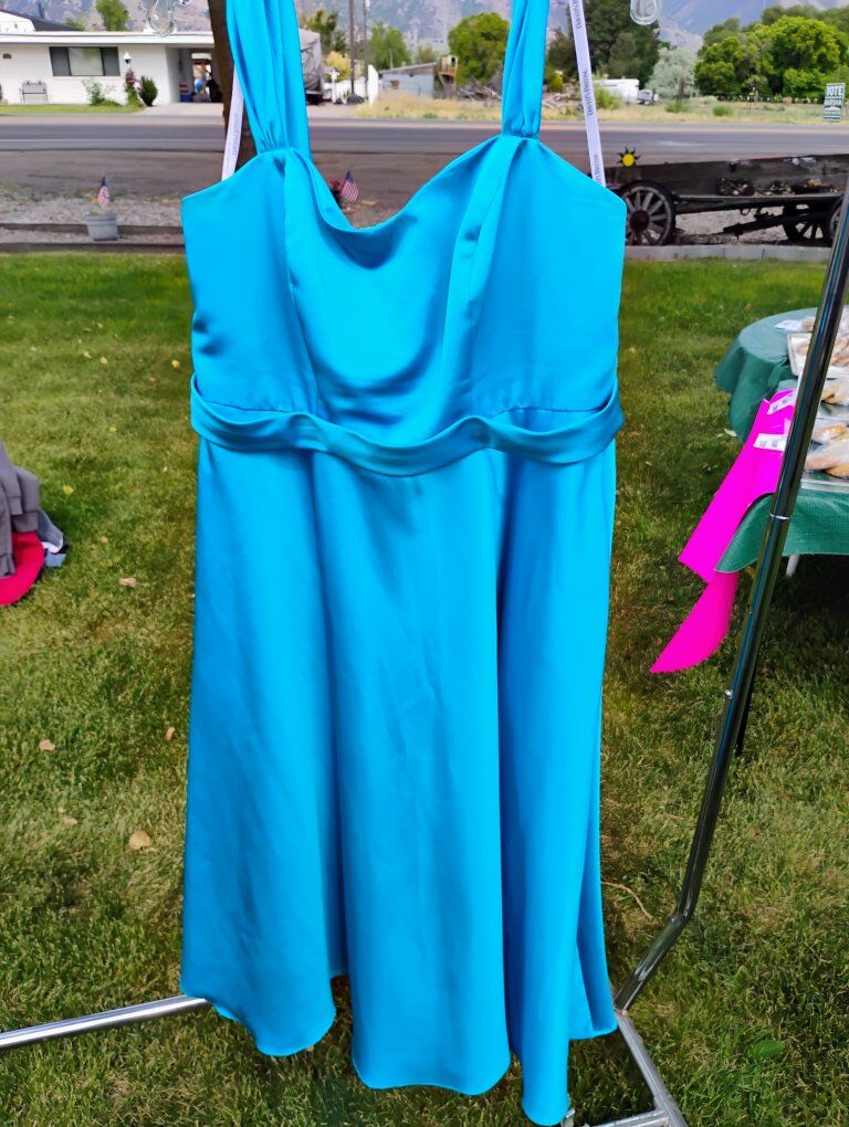 Semi-Formal David's Bridal Dress