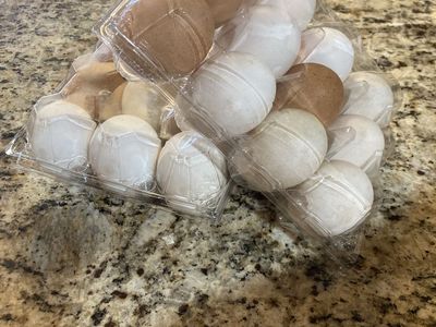 Farm fresh eggs