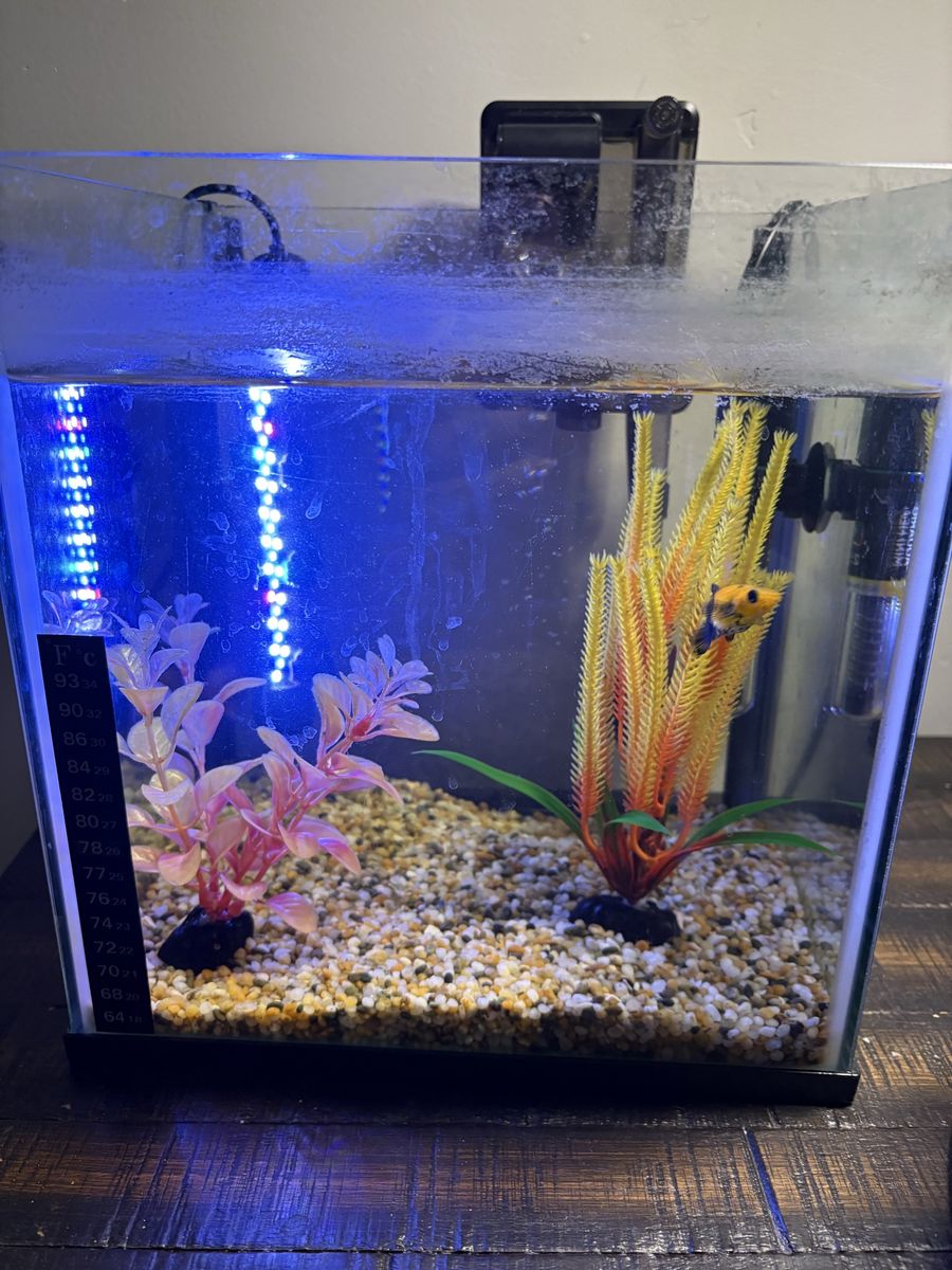 aquariums