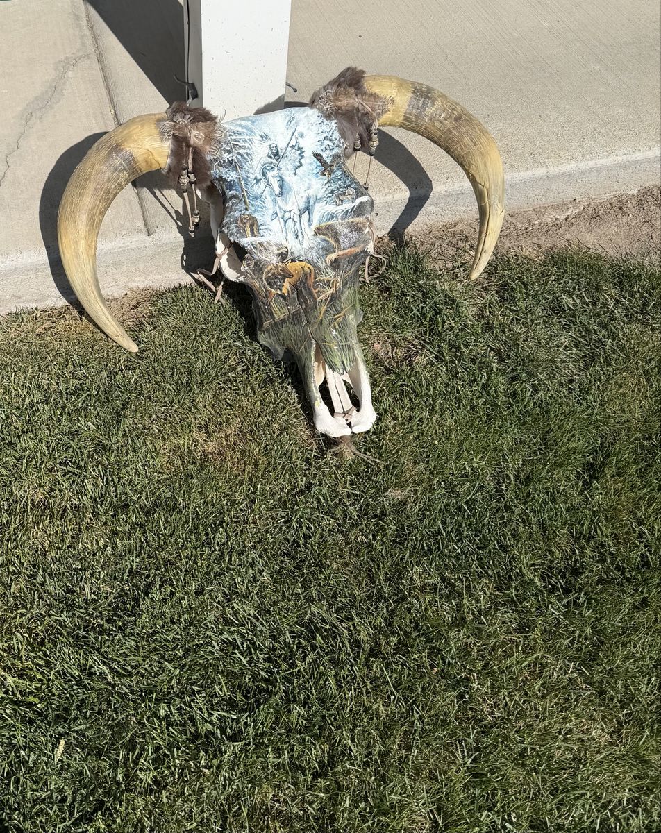 Denise Baird Hand Painted Skull