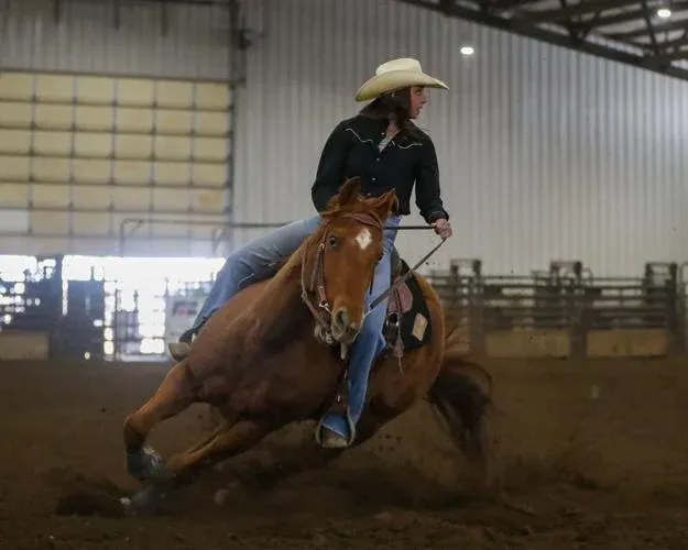 Barrel horse