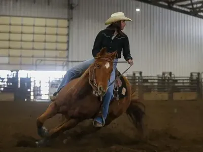 Barrel horse