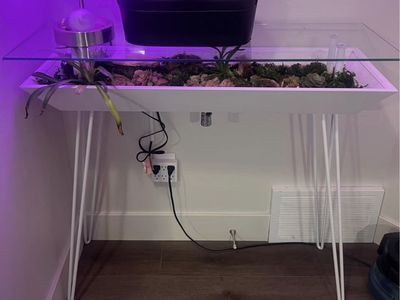 Living Plant Table