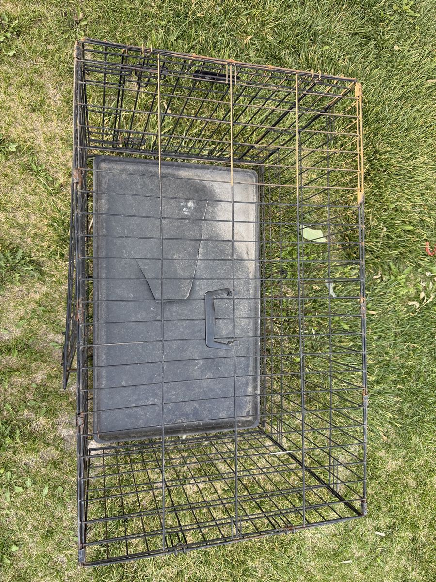 Main image 3