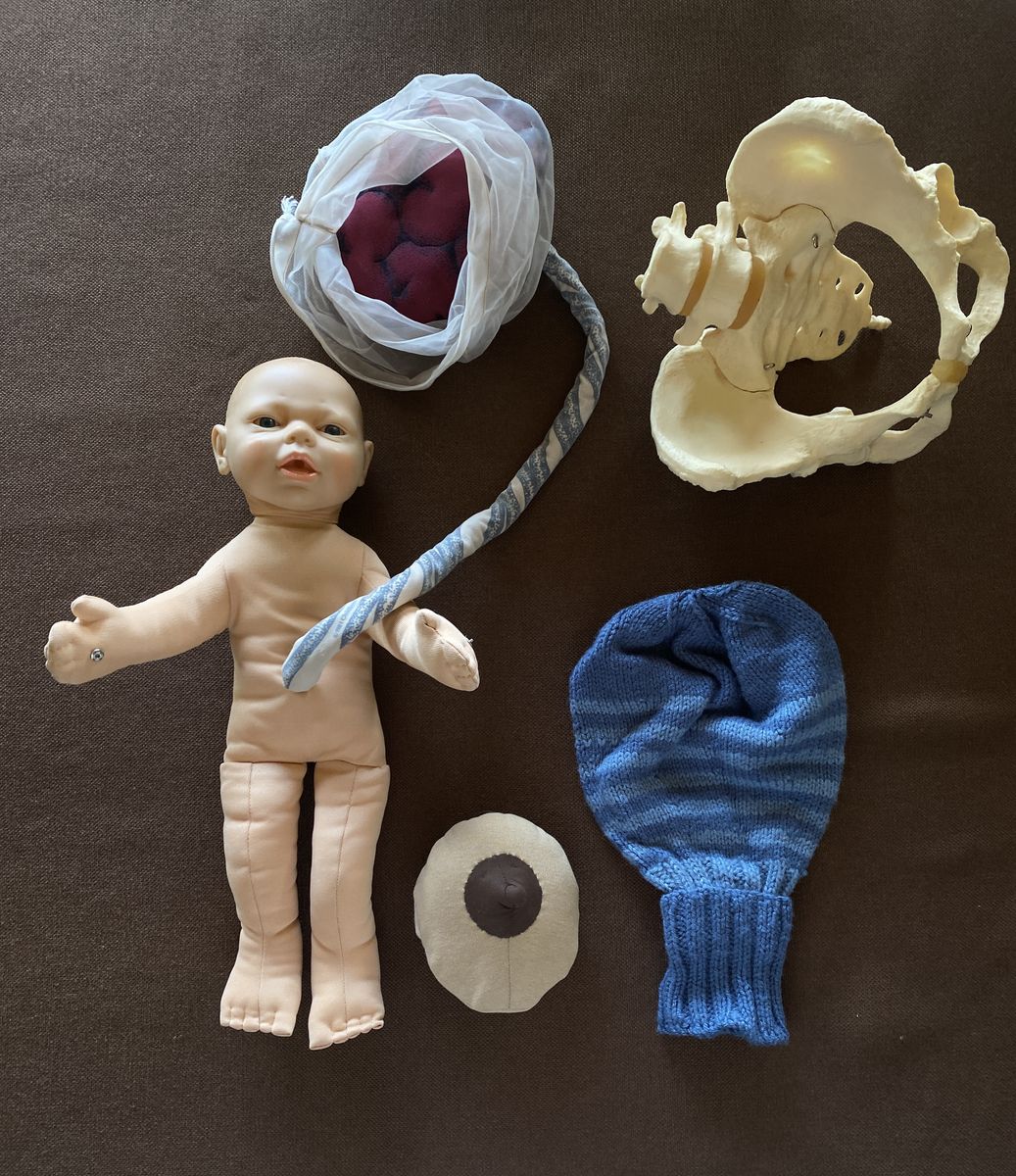 Childbirth Graphics Model Set