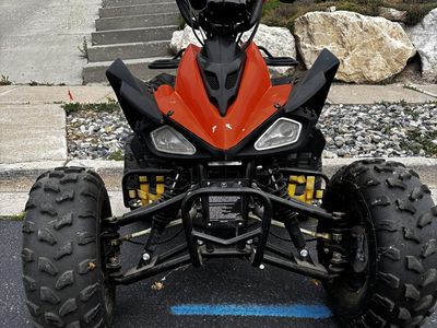 2017 Tao Tao 125 4-wheeler