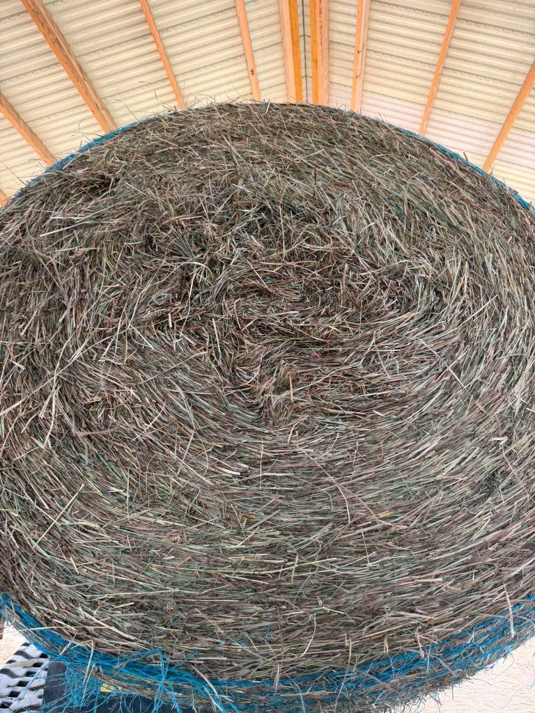 Freshly Baled Alfalfa Hay
