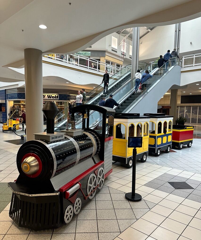 Business for Sale -Trackless Train- Electric Train