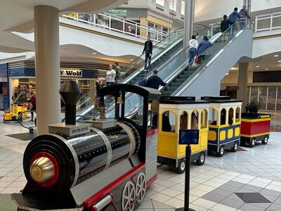 Business for Sale -Trackless Train- Electric Train