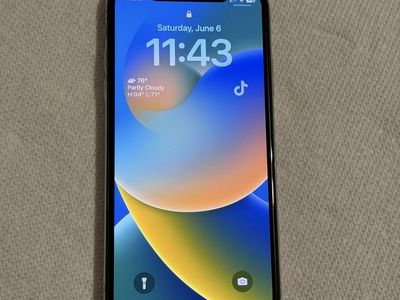 iPhone X 256GB (Unlocked)