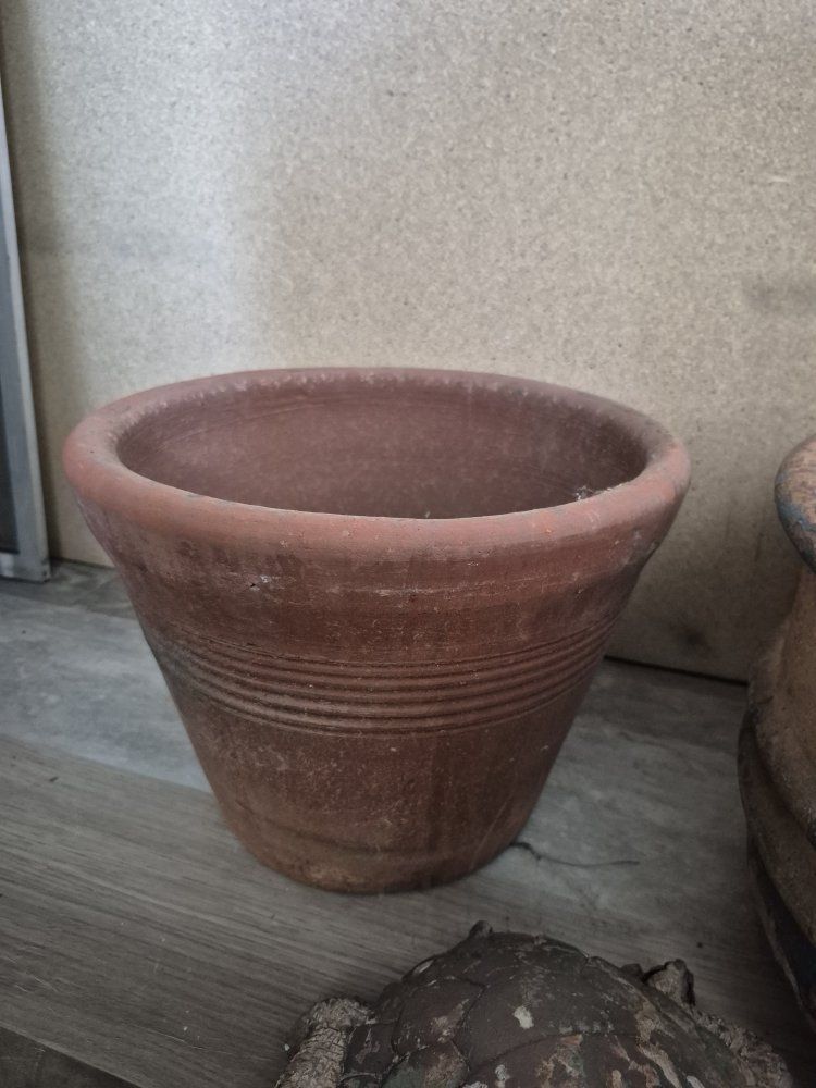 Main image 6