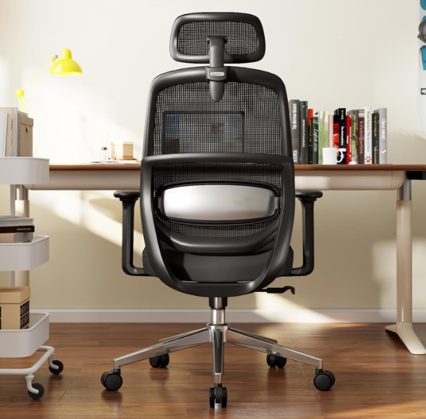 New in box Ergonomic Office Chair