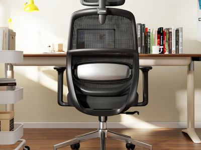 New in box Ergonomic Office Chair