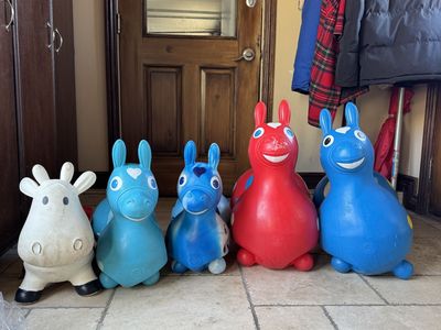 Rody Bounce Horses