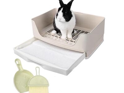 Large Rabbit Litter Box