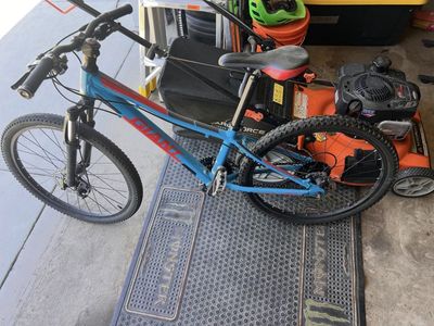 Giant Mountain Bike Youth Small 24in