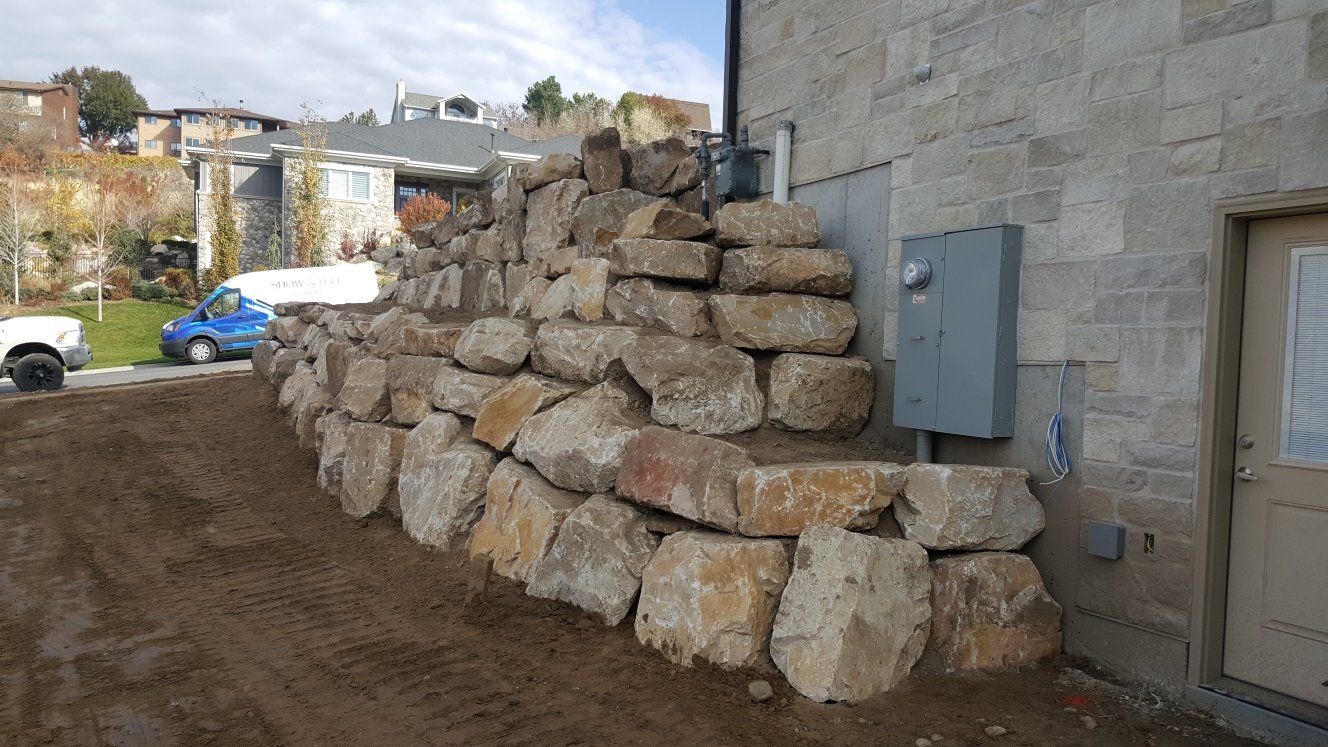 Main image 7