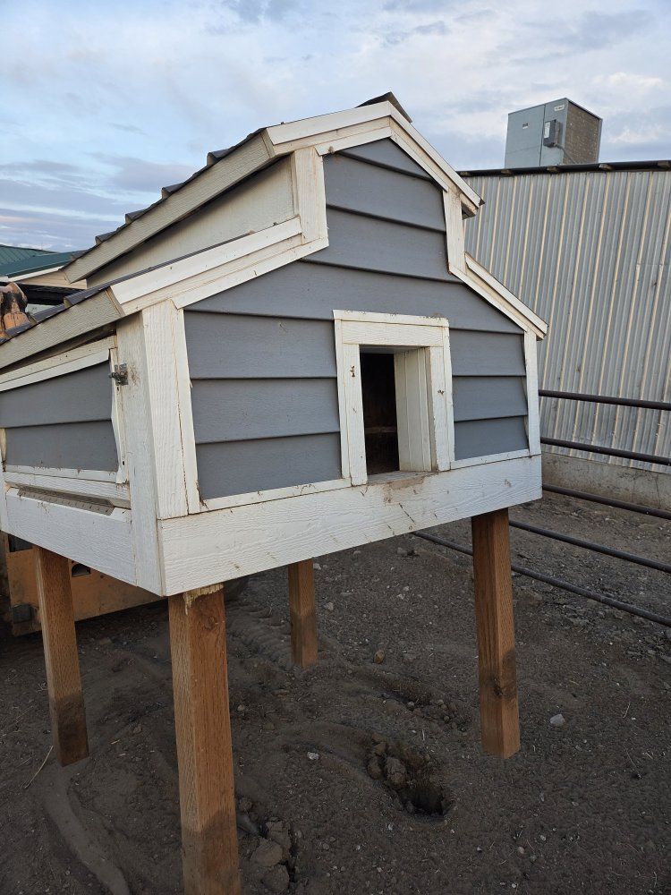 Sturdy Raised Wooden Chicken Coop with Metal Roof