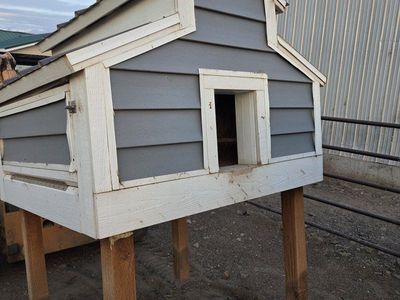 Sturdy Raised Wooden Chicken Coop with Metal Roof