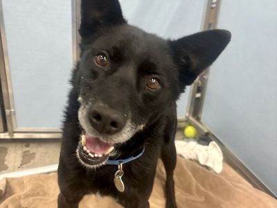 Hello my name is Charles