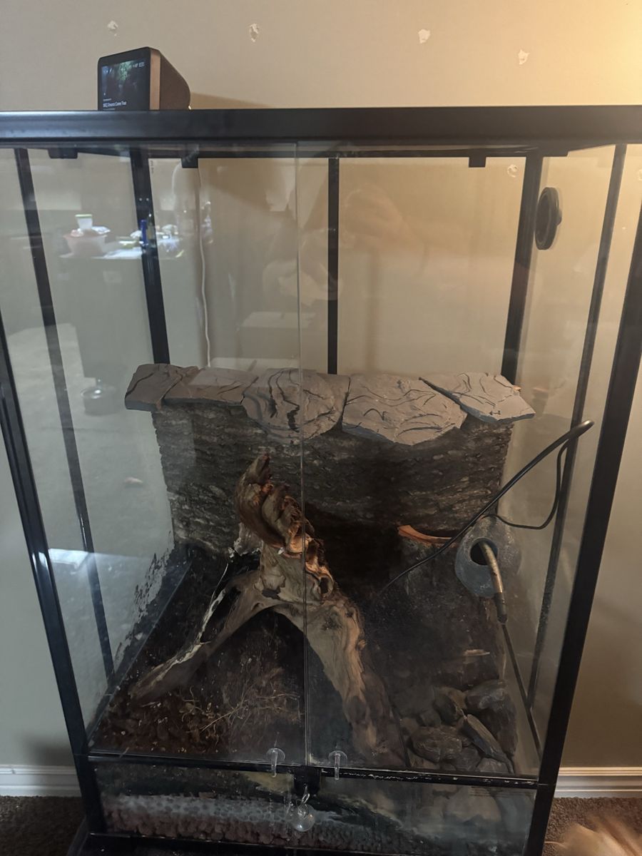 Reptile cage