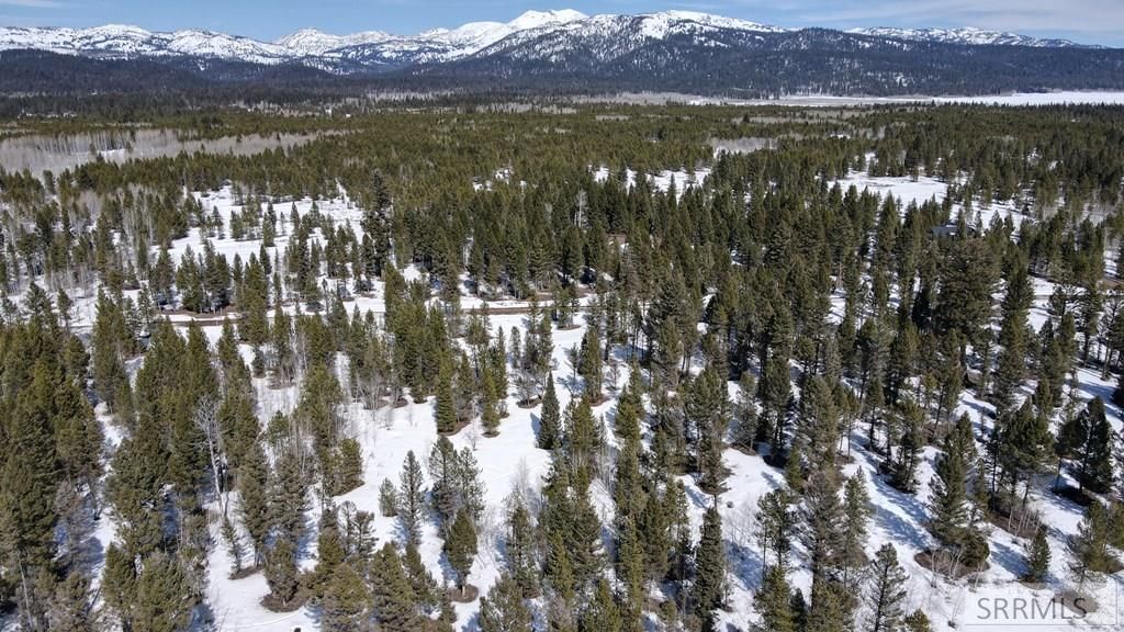 2822 NE Sagehen Dr ISLAND PARK, ID 83429