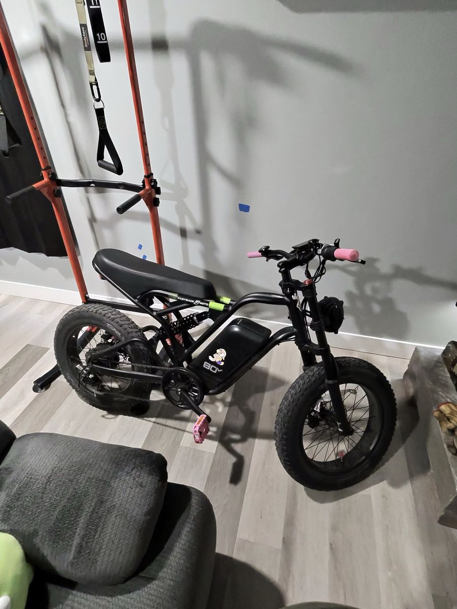 80v Greenworks Venture Ebike W/4 Batteries