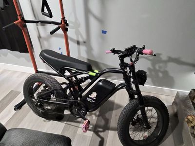 80v Greenworks Venture Ebike W/4 Batteries