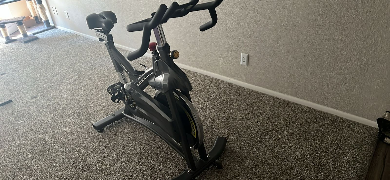 Cyclace Indoor Cycling Exercise Bike - Adjustable Resistance Stationary Bicycle for Home Gym