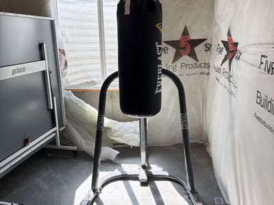 Everlast Heavy Punching Bag with Stand and Prospect Gloves