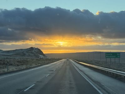 Two 50 Gallon Tanks For Sale/Trade