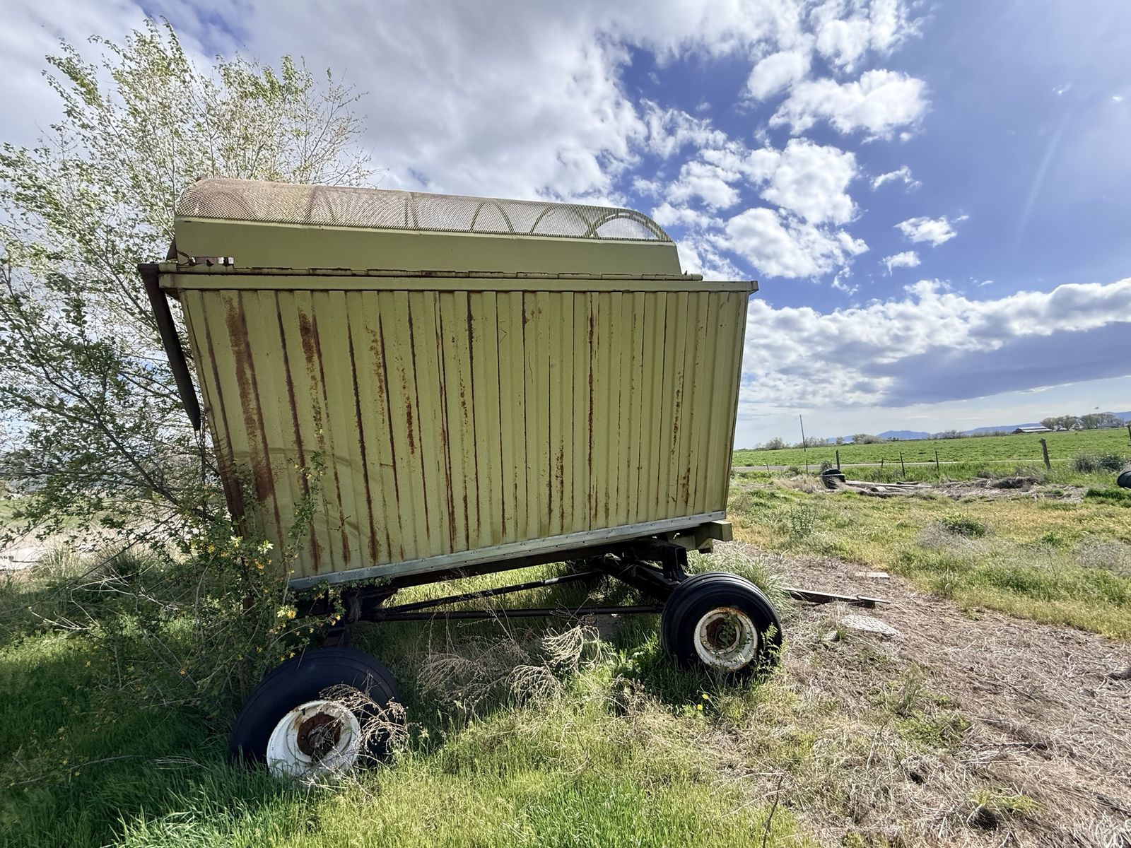 Forage dump wagons