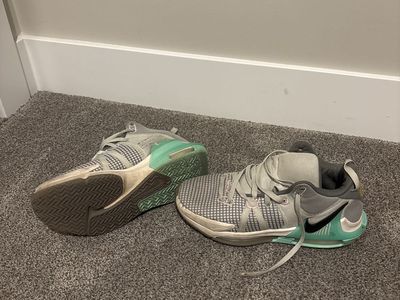 Nike LeBron witness flat pewter mint size 11
