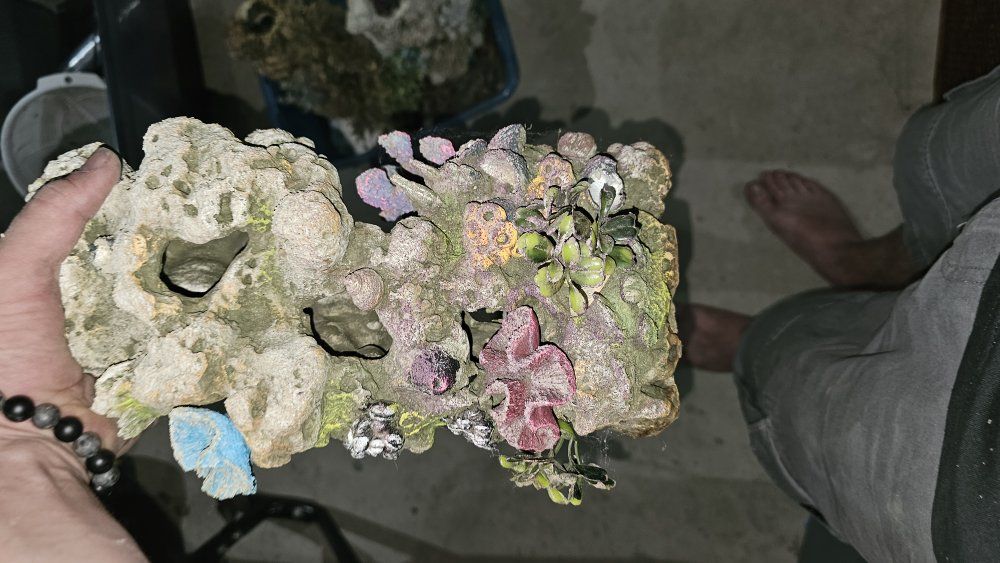 Main image 40