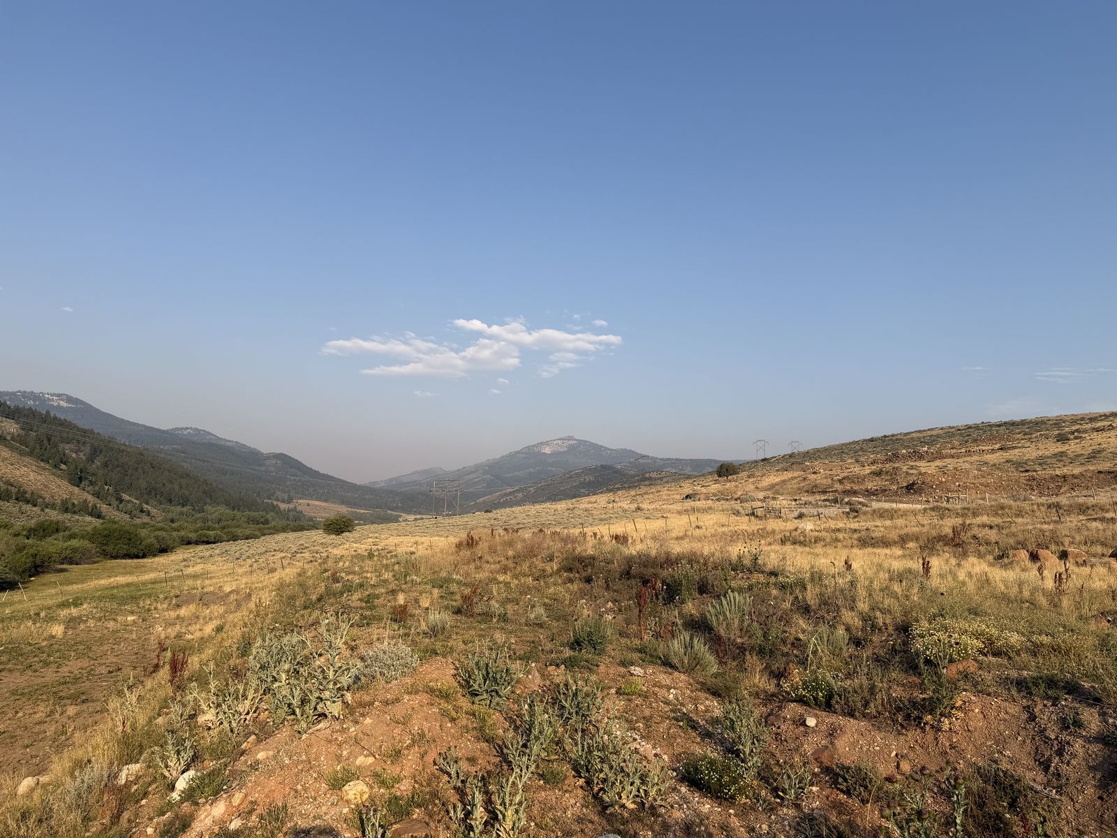 Main image 3