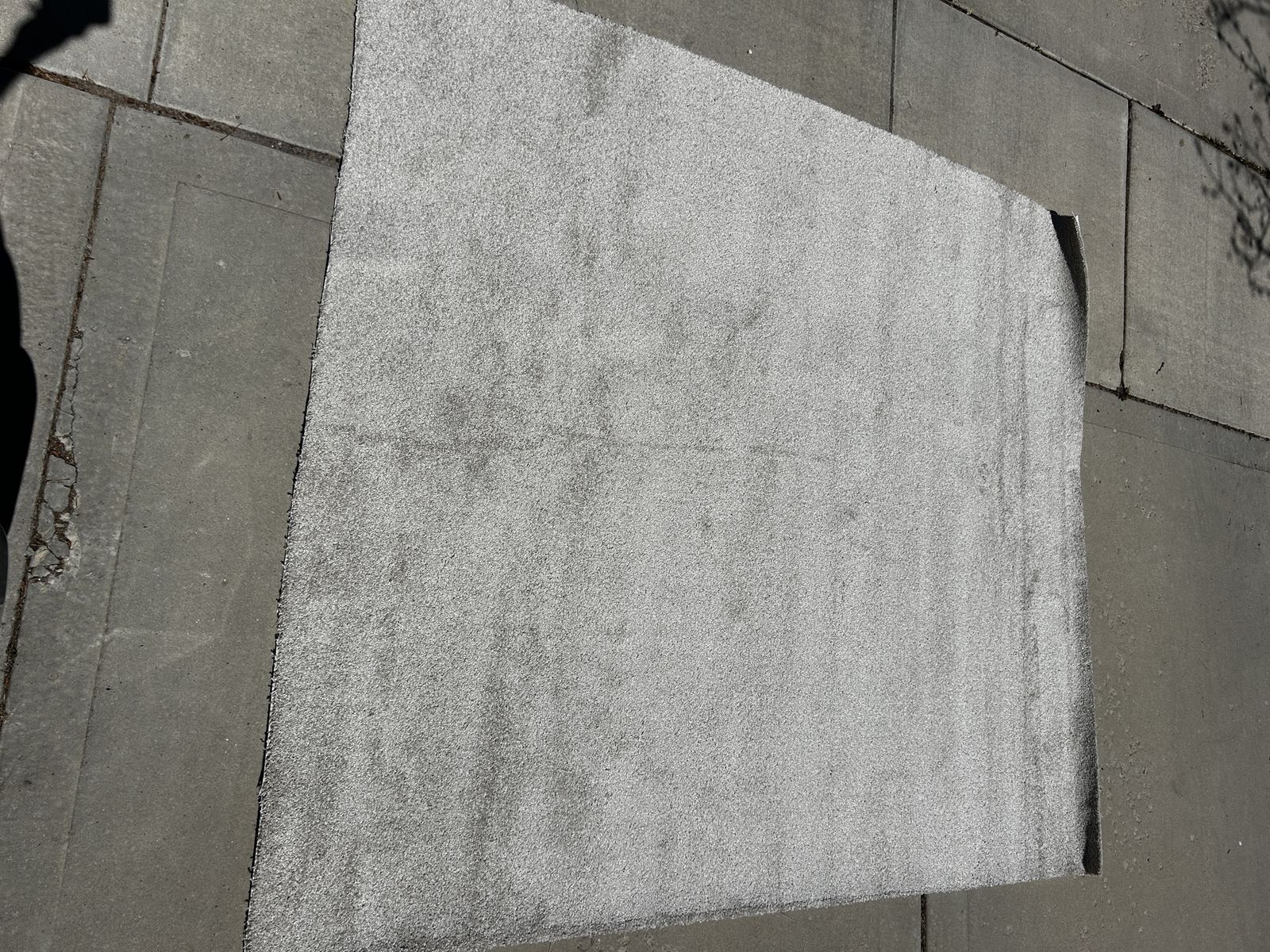 Carpet Remnant 8’x9’