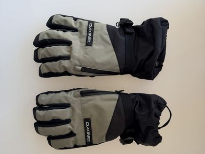Dakine Titan Gore Tex Gloves