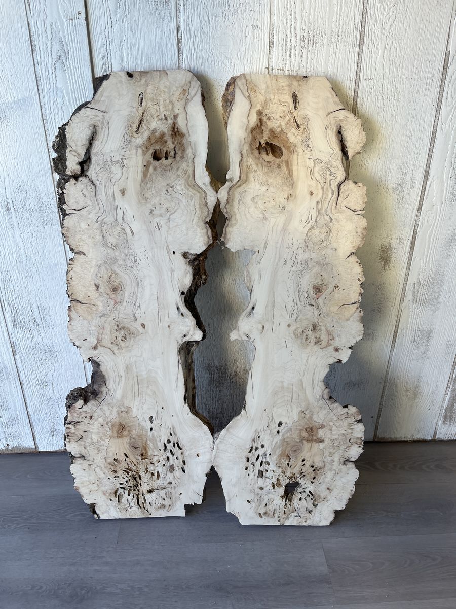 Maple Burl Slabs