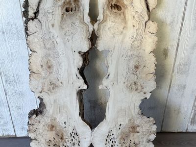 Maple Burl Slabs
