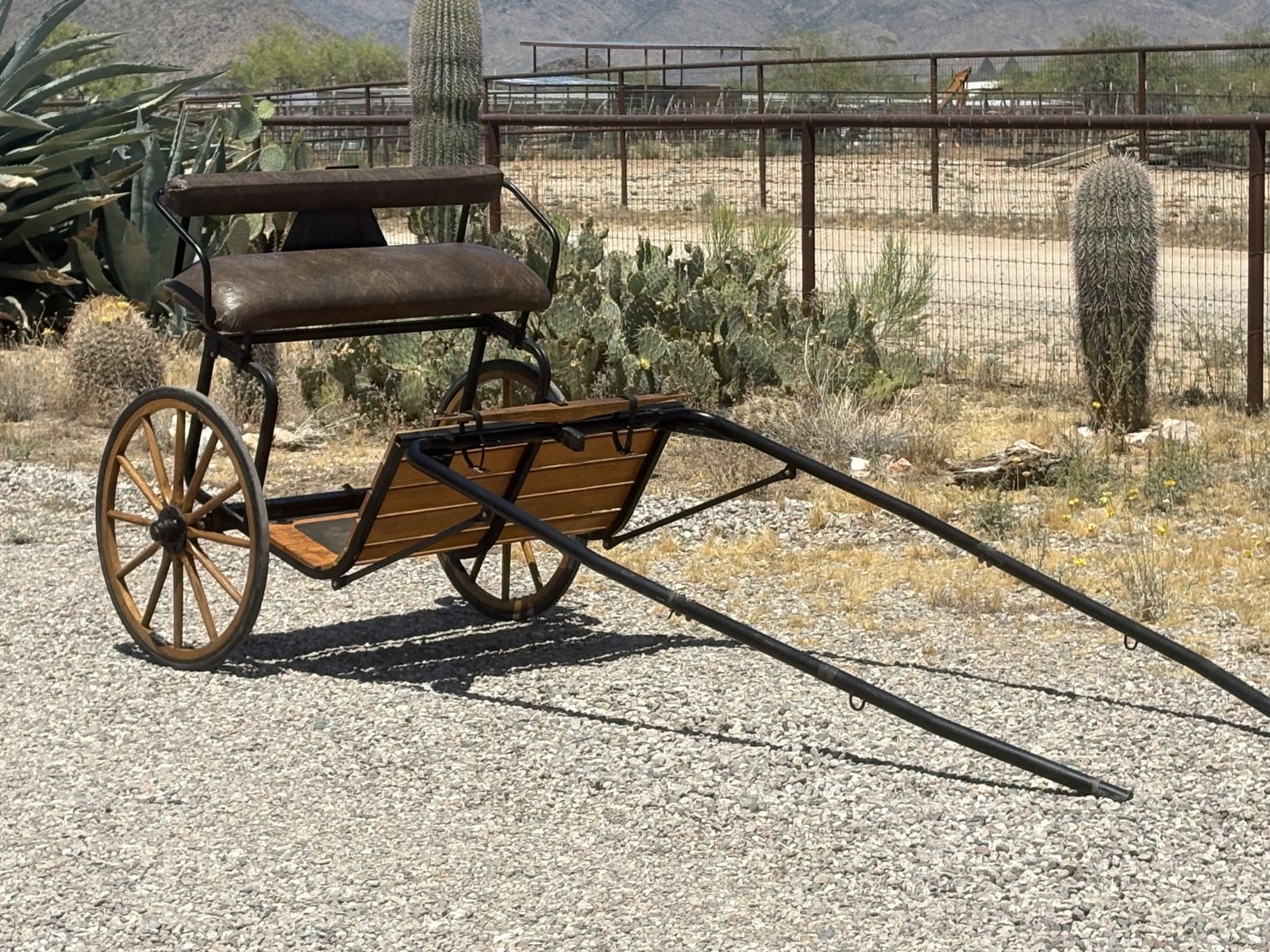 Beautiful Horse Cart