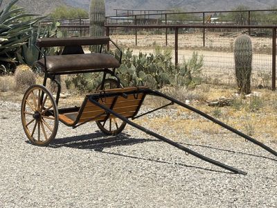 Beautiful Horse Cart