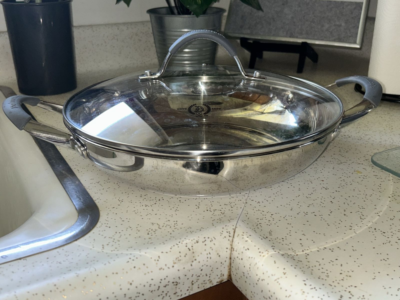 Delmonico's ESTD 1837 Stainless Steel Braiser with Glass Lid