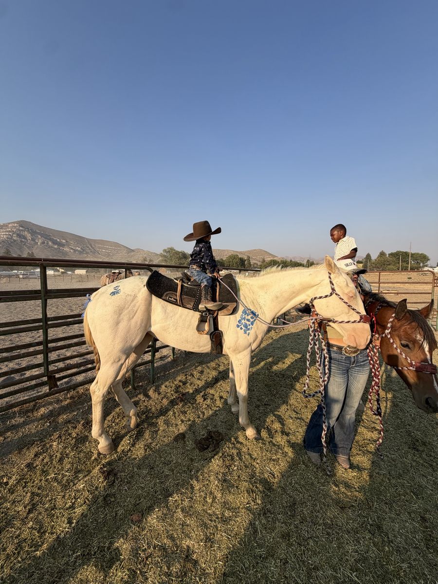 4 year old Cremello Mare 