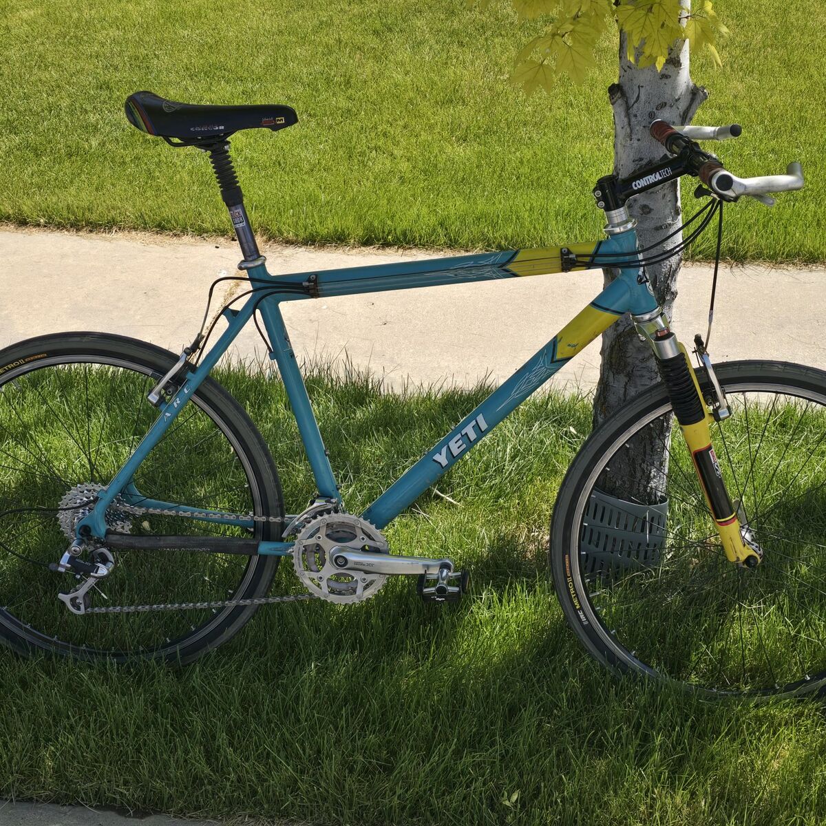 1998 Yeti ARC Troy Lee Designs edition tuned up